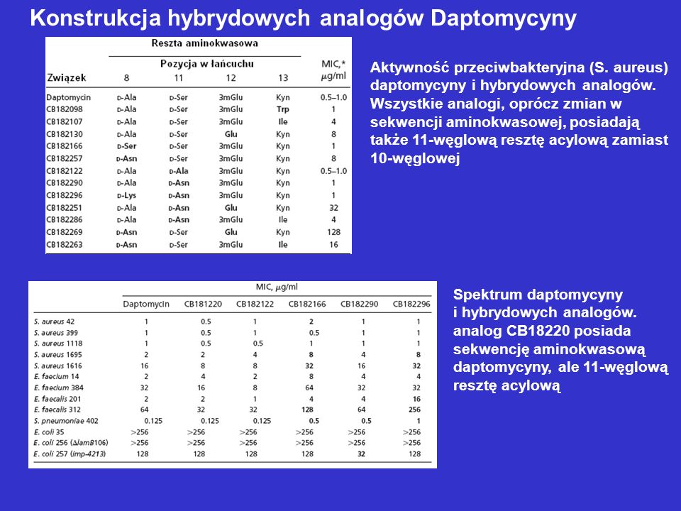 Konstrukcja hybrydowych analogów Daptomycyny