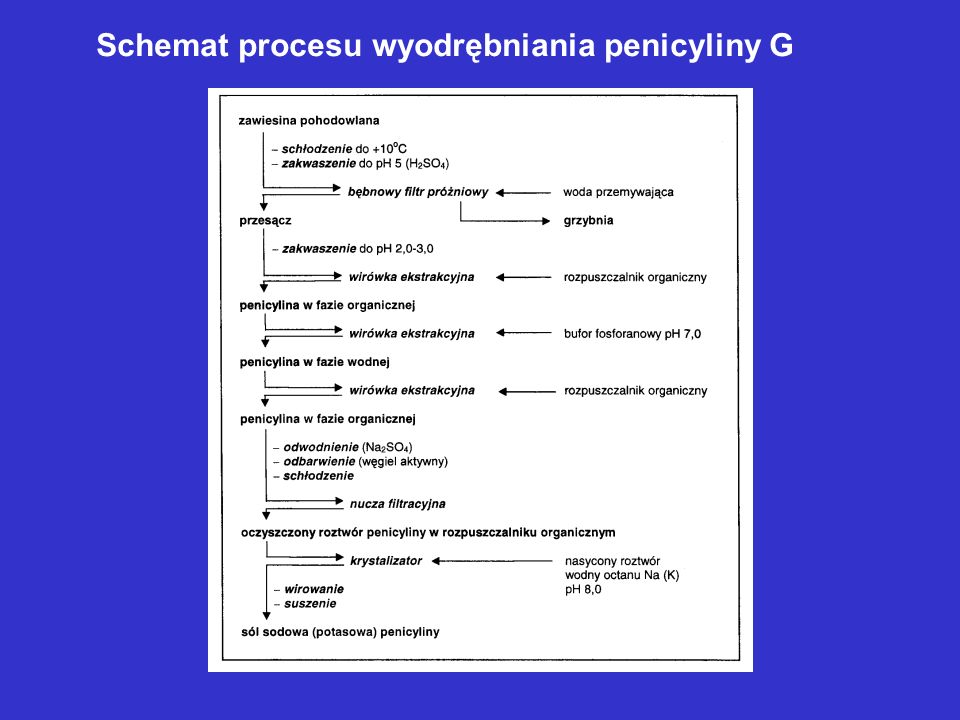 Schemat procesu wyodrębniania penicyliny G