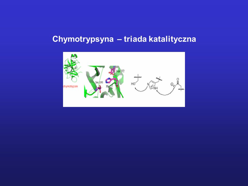 Chymotrypsyna – triada katalityczna