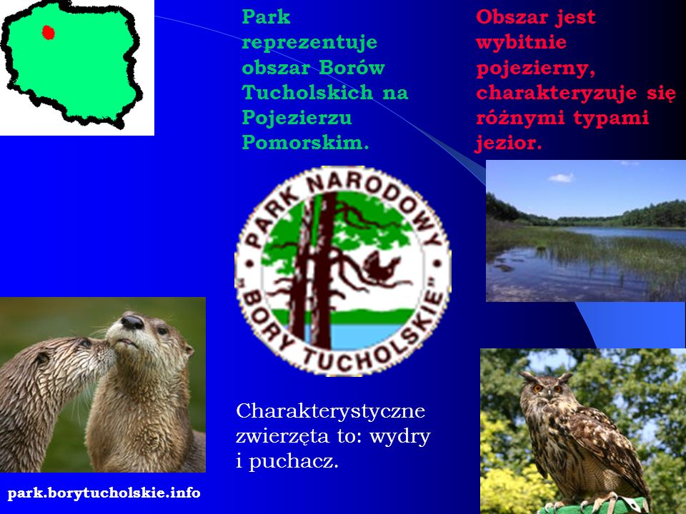 Park reprezentuje obszar Borów Tucholskich na Pojezierzu Pomorskim.
