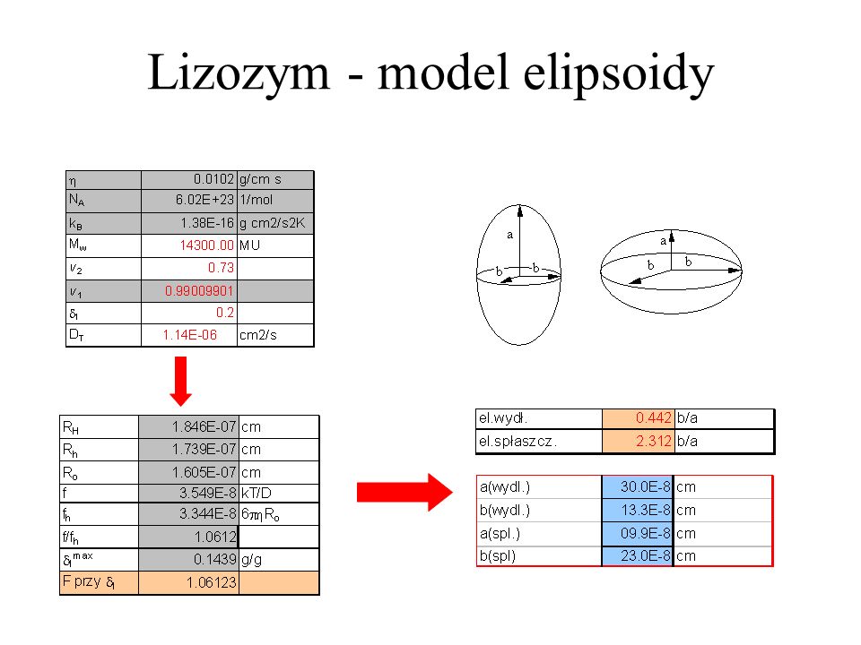Lizozym - model elipsoidy