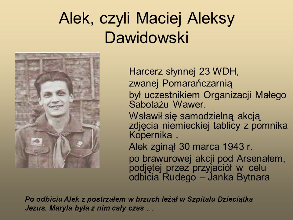 Alek, czyli Maciej Aleksy Dawidowski