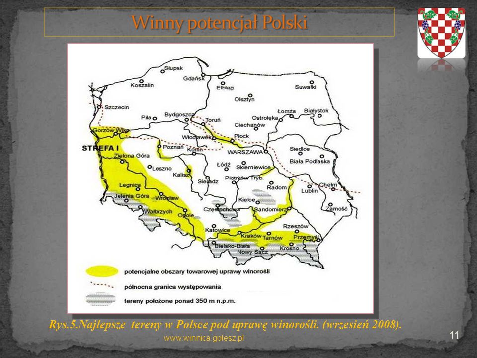 Rys.5.Najlepsze tereny w Polsce pod uprawę winorośli. (wrzesień 2008).