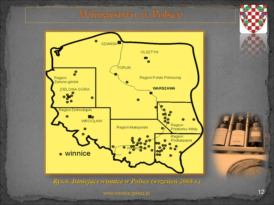 Rys.6. Istniejące winnice w Polsce (wrzesień 2008 r.)