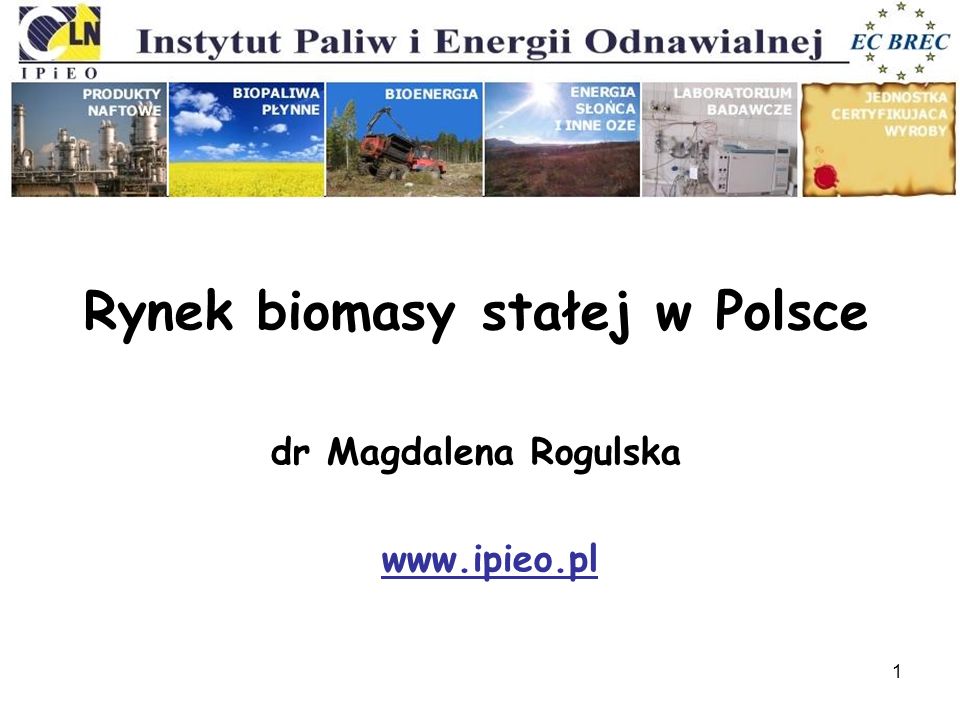 Rynek biomasy stałej w Polsce