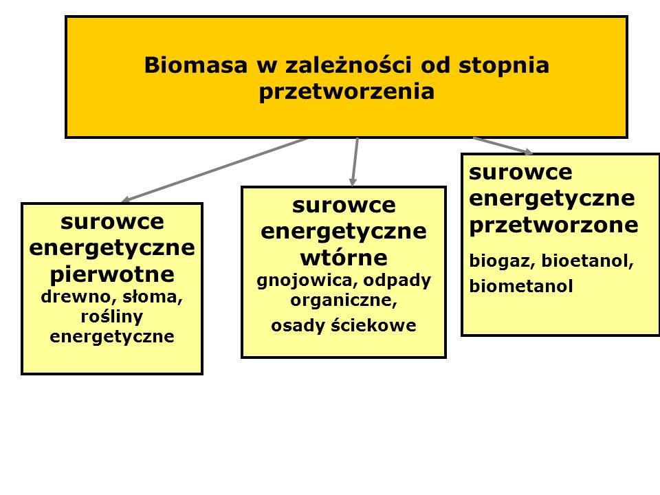 Biomasa w zależności od stopnia przetworzenia