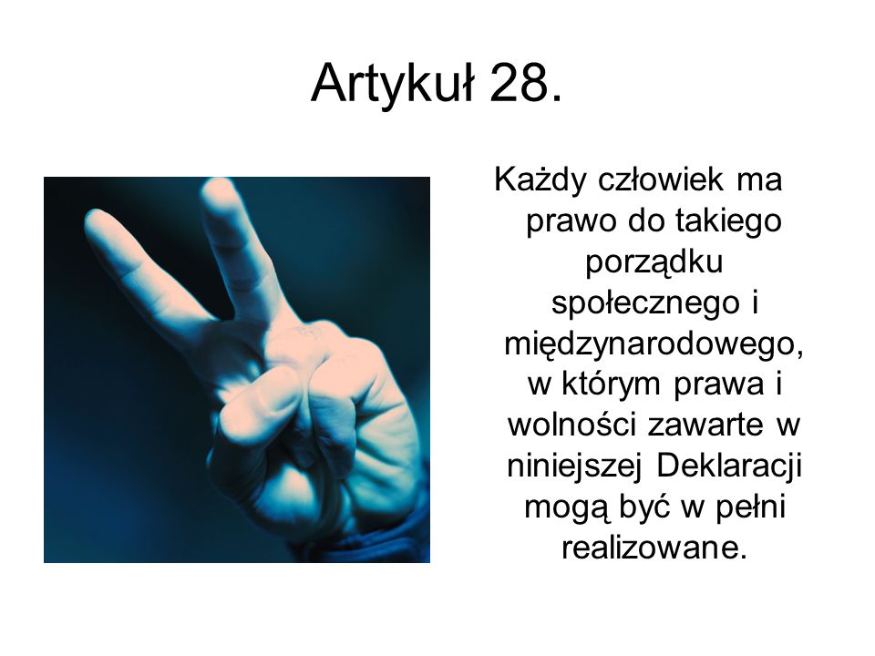 Artykuł 28.