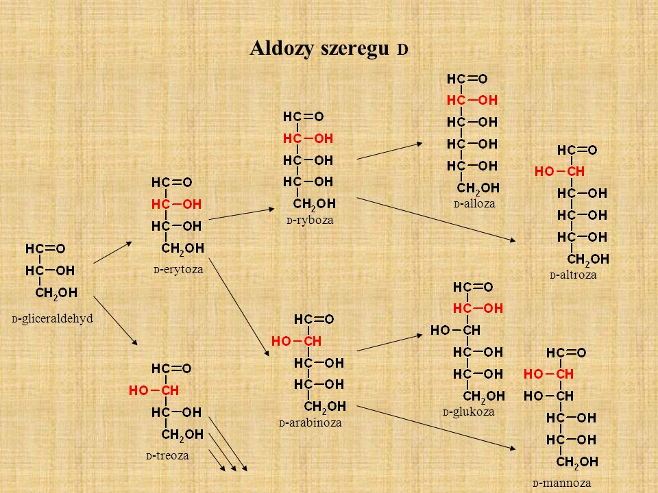 Aldozy szeregu D D-alloza D-ryboza D-erytoza D-altroza D-gliceraldehyd