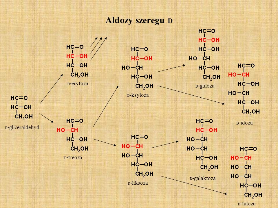 Aldozy szeregu D D-erytoza D-guloza D-ksyloza D-idoza D-gliceraldehyd