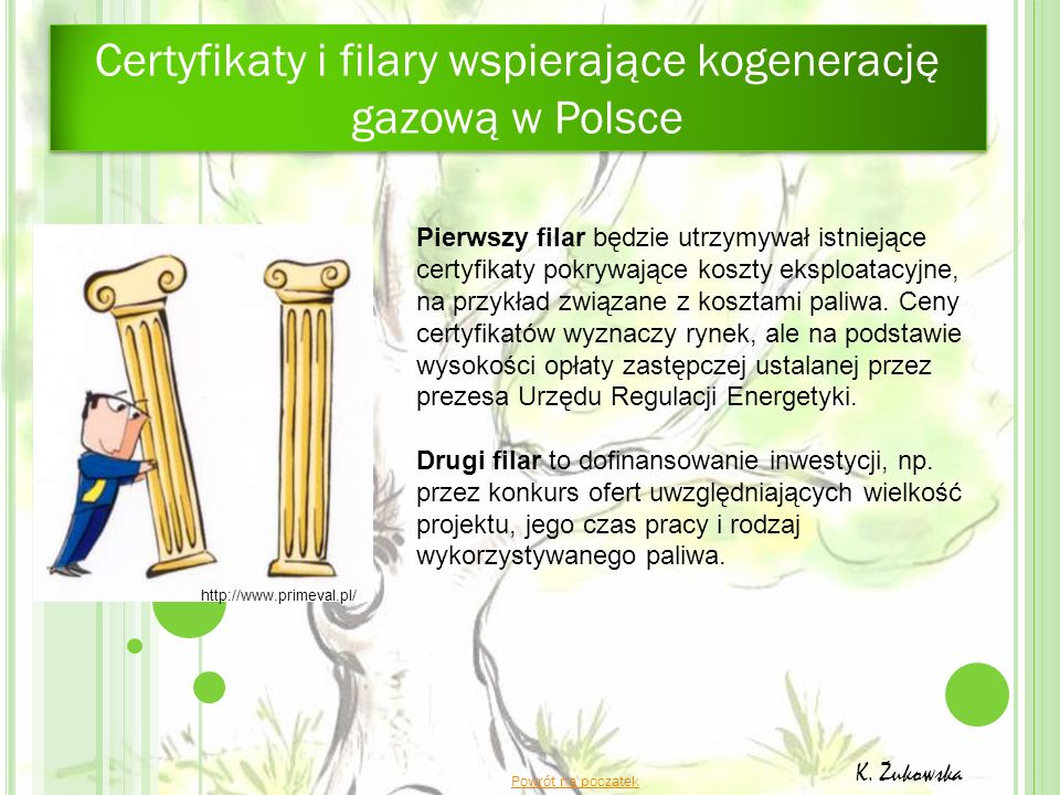 Certyfikaty i filary wspierające kogenerację gazową w Polsce