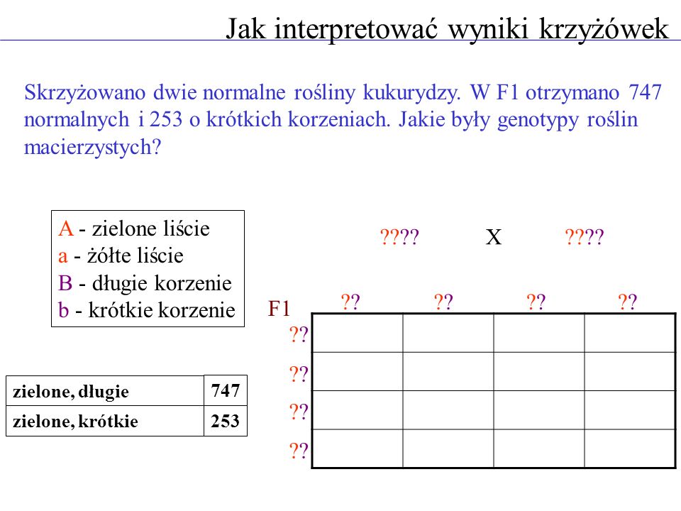 Uniwersytet Warszawski - Ppt Video Online Pobierz