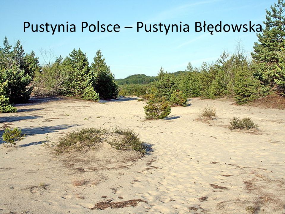 Pustynia Polsce – Pustynia Błędowska