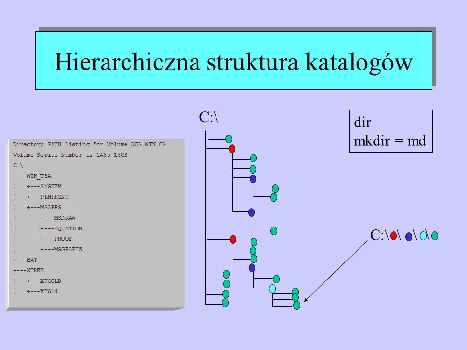 Hierarchiczna struktura katalogów