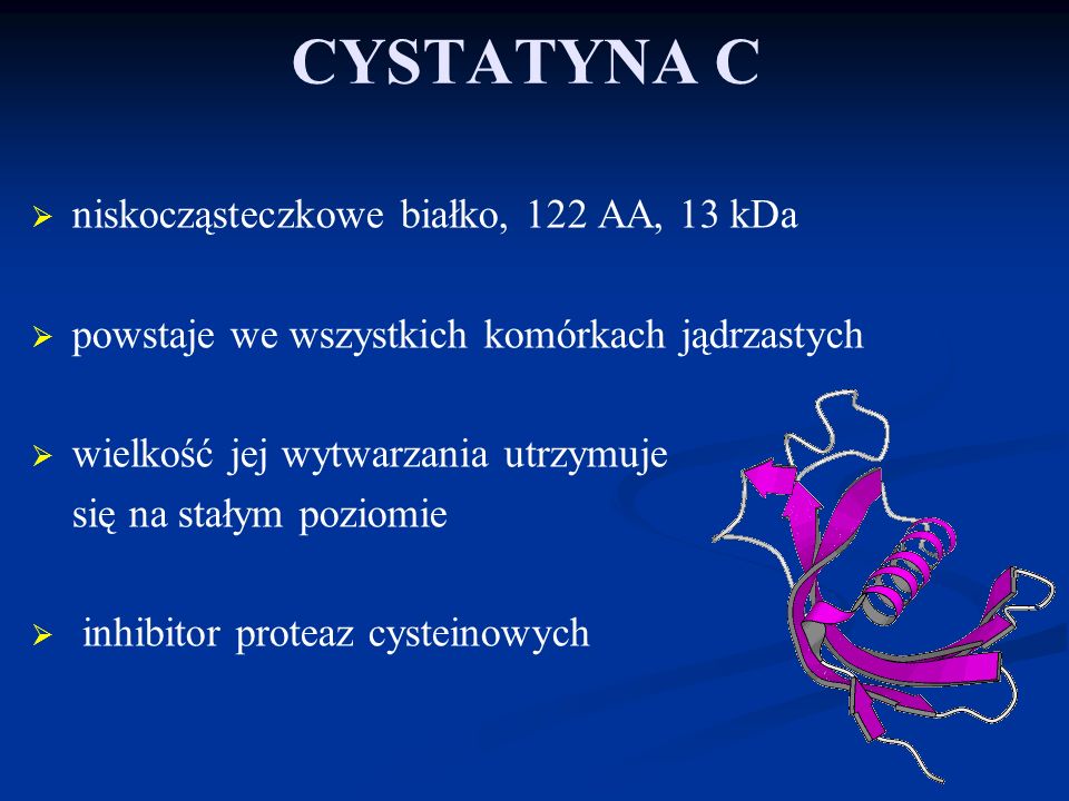 CYSTATYNA C niskocząsteczkowe białko, 122 AA, 13 kDa