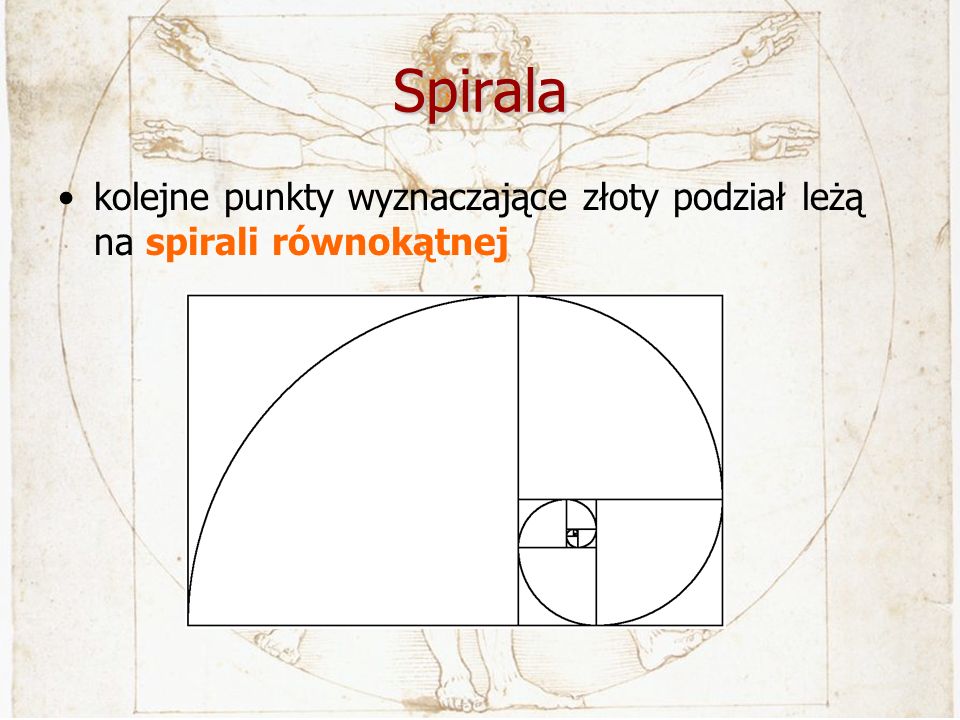 Spirala kolejne punkty wyznaczające złoty podział leżą na spirali równokątnej