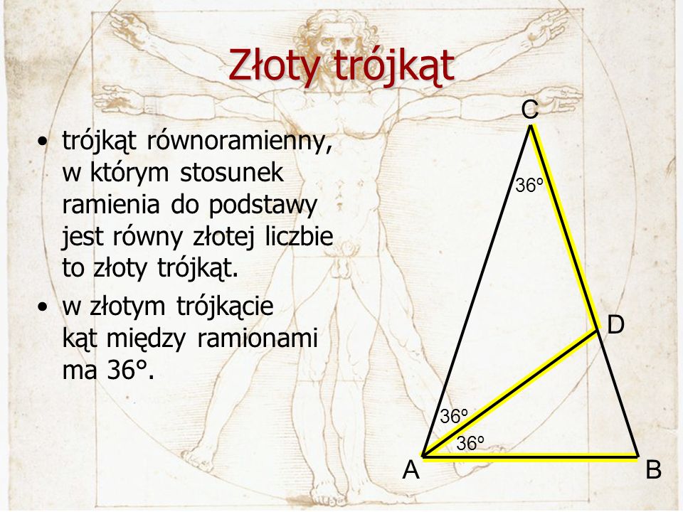 Złoty trójkąt 36º. A. C. B. D. trójkąt równoramienny, w którym stosunek ramienia do podstawy jest równy złotej liczbie to złoty trójkąt.