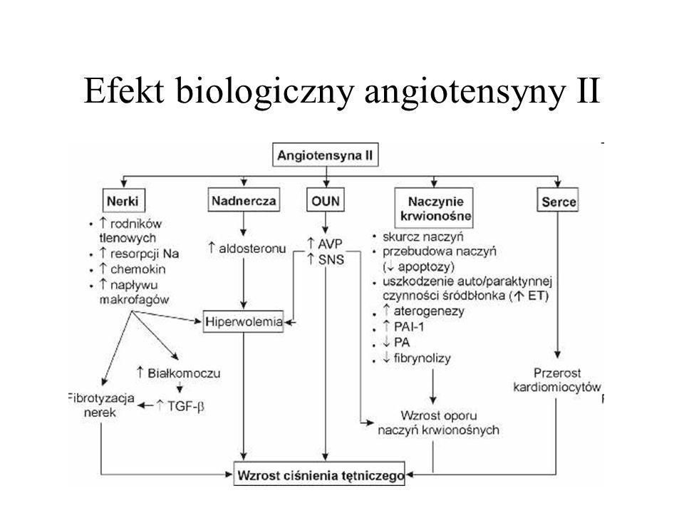 Efekt biologiczny angiotensyny II