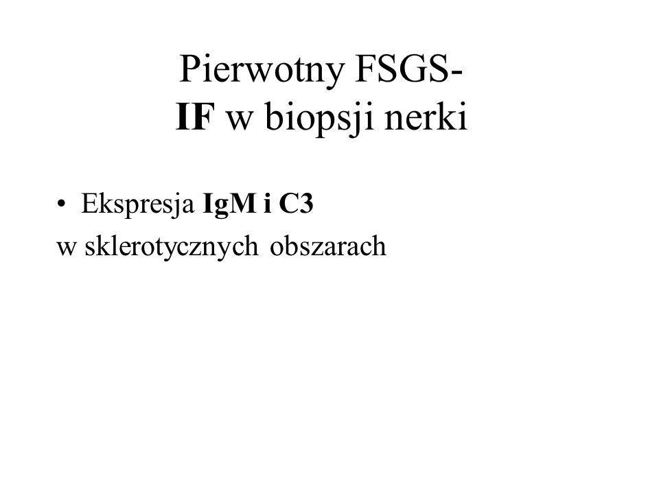Pierwotny FSGS- IF w biopsji nerki