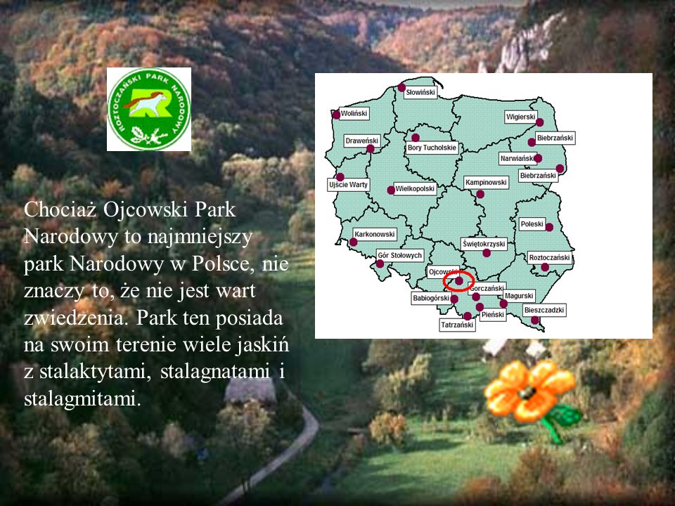 Chociaż Ojcowski Park Narodowy to najmniejszy park Narodowy w Polsce, nie znaczy to, że nie jest wart zwiedzenia.