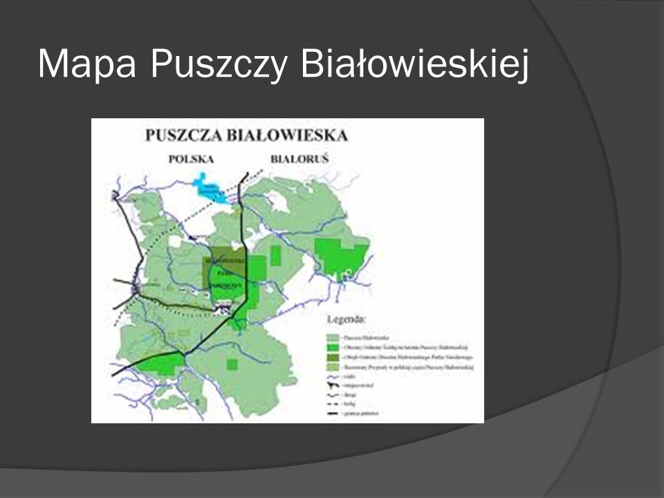 Mapa Puszczy Białowieskiej