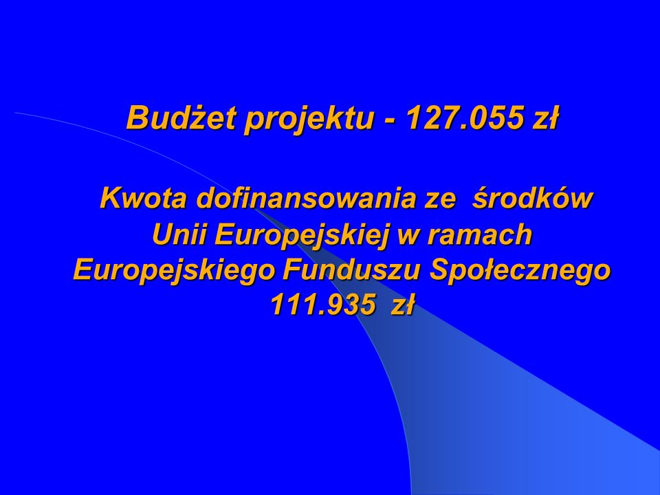 Budżet projektu zł Kwota dofinansowania ze środków Unii Europejskiej w ramach Europejskiego Funduszu Społecznego zł