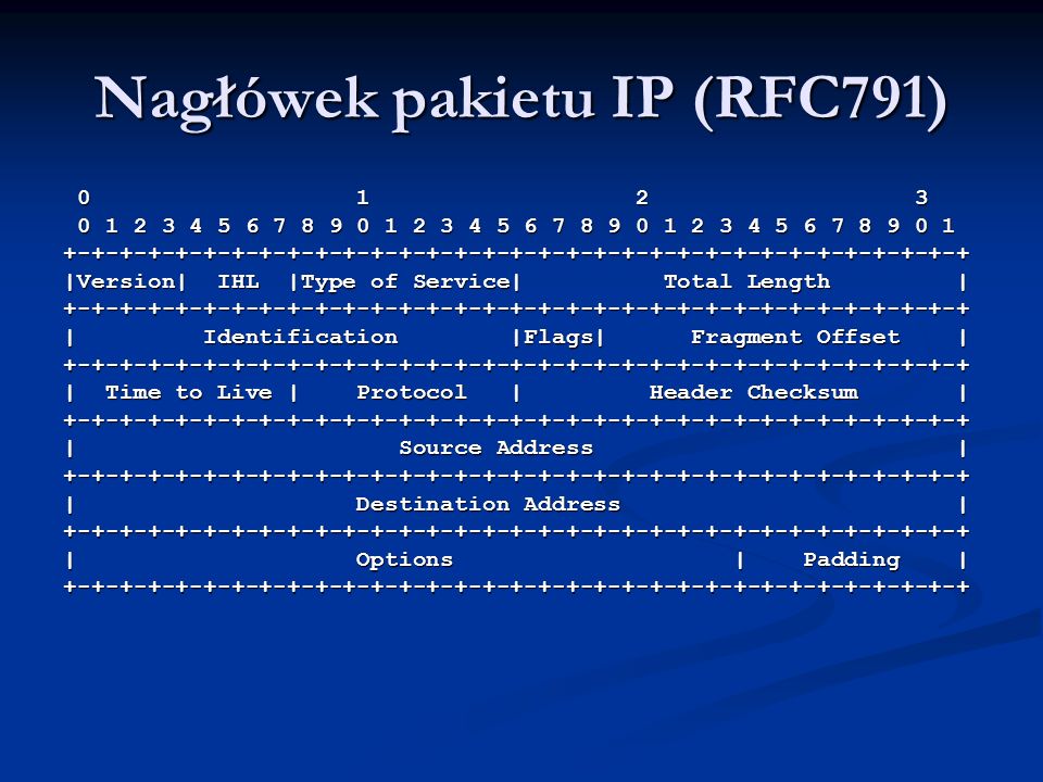 Nagłówek pakietu IP (RFC791)