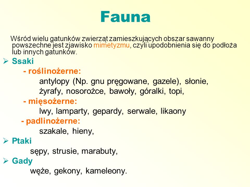 Fauna Ssaki - roślinożerne: