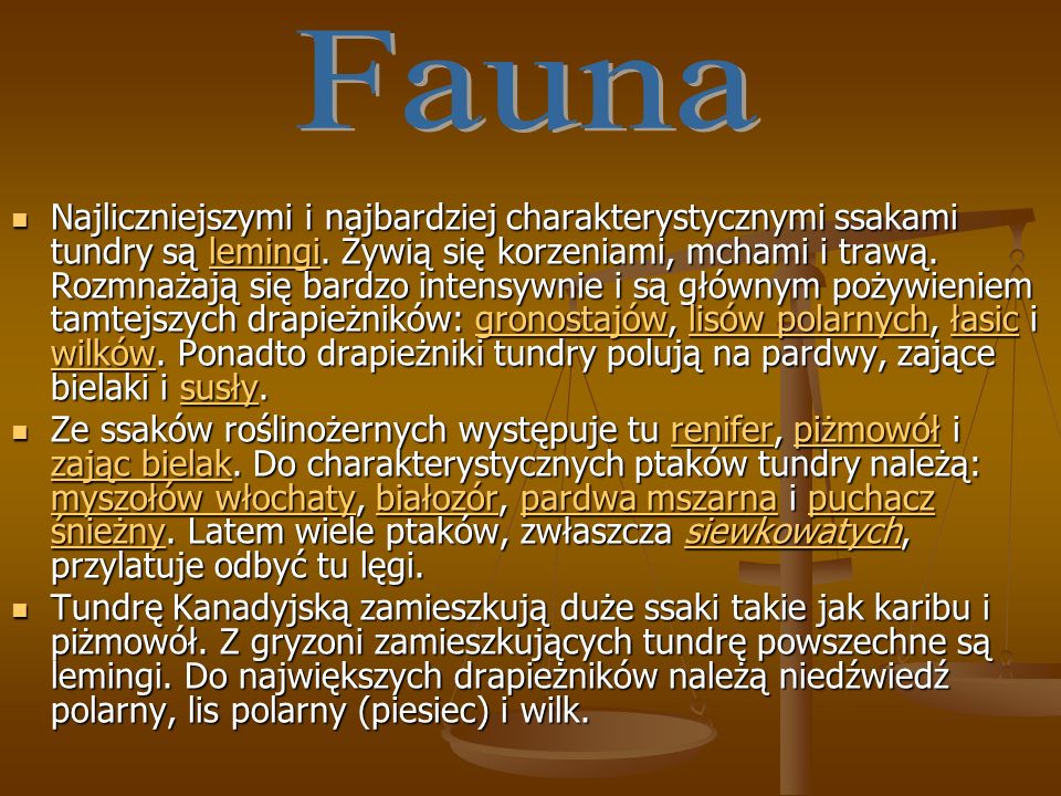 Fauna