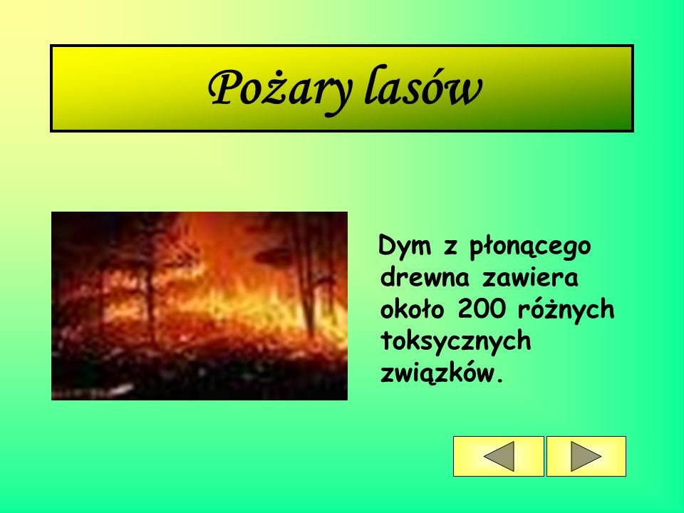 Pożary lasów Dym z płonącego drewna zawiera około 200 różnych toksycznych związków.