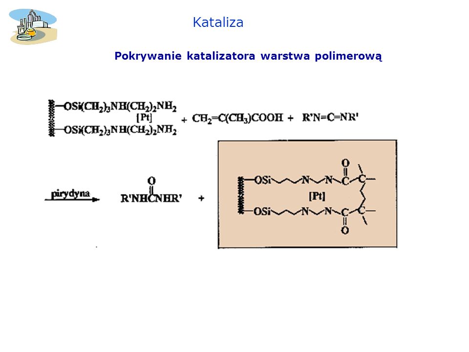 Kataliza Pokrywanie katalizatora warstwa polimerową