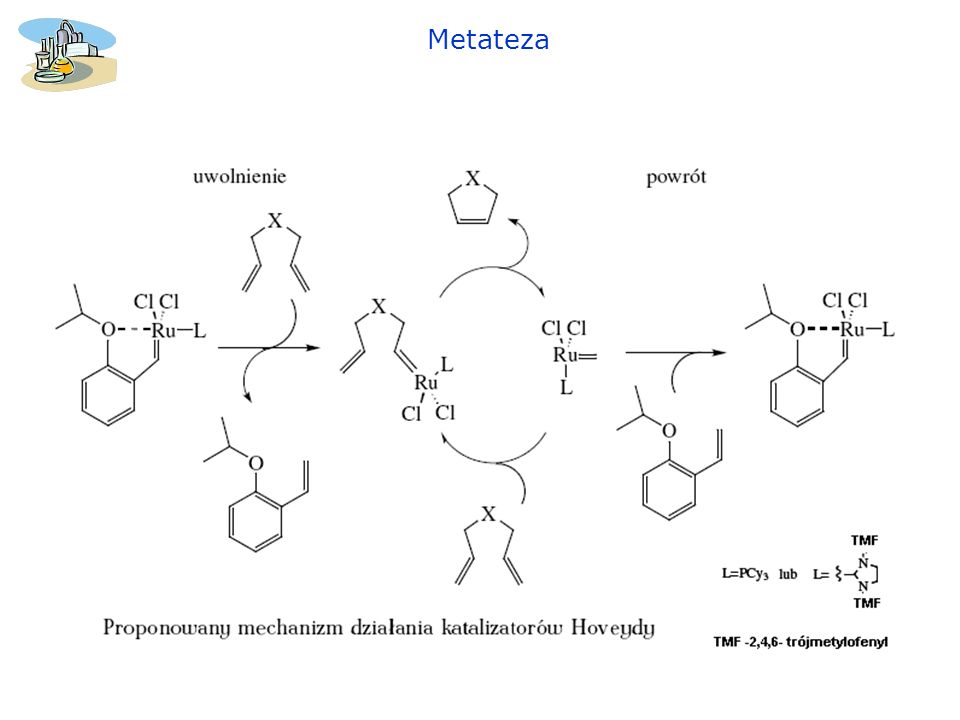 Metateza