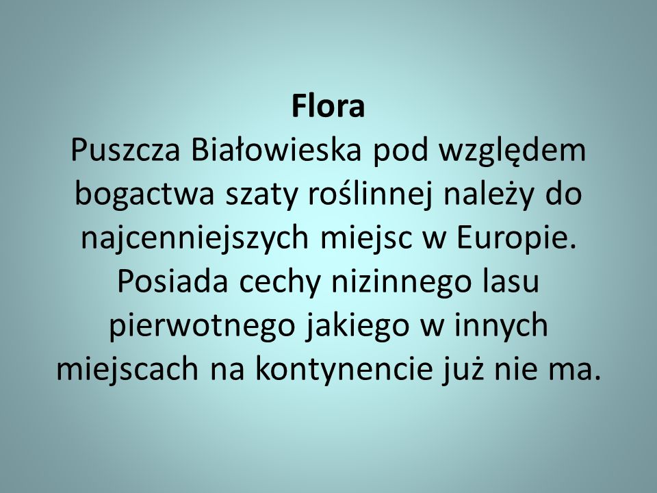 Flora Puszcza Białowieska pod względem bogactwa szaty roślinnej należy do najcenniejszych miejsc w Europie.