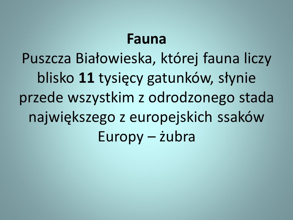 Fauna Puszcza Białowieska, której fauna liczy blisko 11 tysięcy gatunków, słynie przede wszystkim z odrodzonego stada największego z europejskich ssaków Europy – żubra