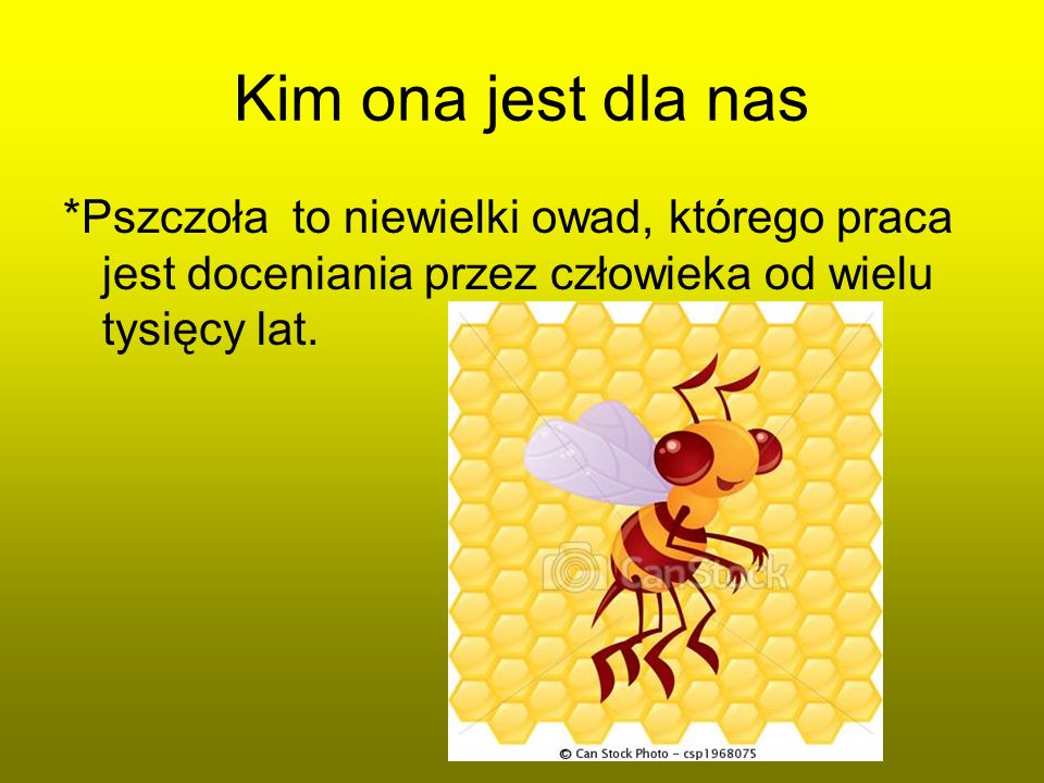Kim ona jest dla nas *Pszczoła to niewielki owad, którego praca jest doceniania przez człowieka od wielu tysięcy lat.
