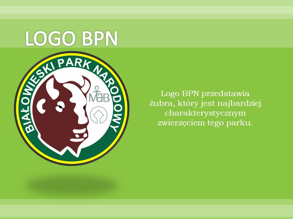 LOGO BPN Logo BPN przedstawia żubra, który jest najbardziej charakterystycznym zwierzęciem tego parku.