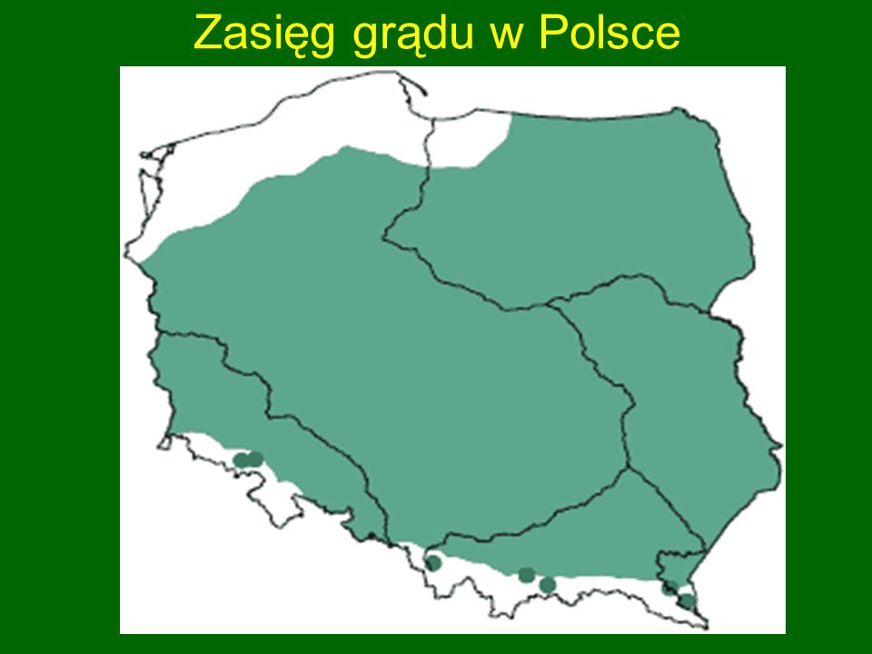 Zasięg grądu w Polsce