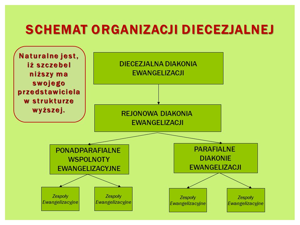 Schemat organizacji diecezjalnej