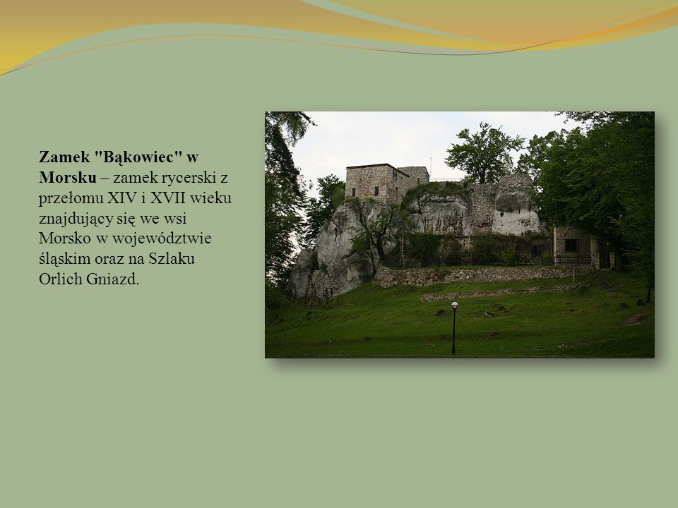 Zamek Bąkowiec w Morsku – zamek rycerski z przełomu XIV i XVII wieku znajdujący się we wsi Morsko w województwie śląskim oraz na Szlaku Orlich Gniazd.