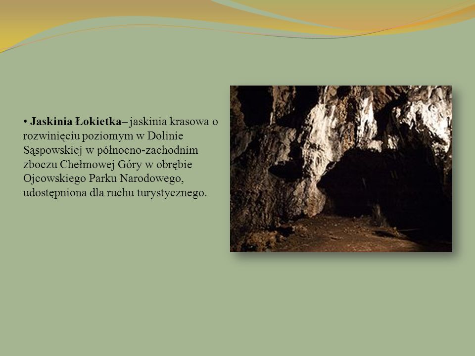 Jaskinia Łokietka– jaskinia krasowa o rozwinięciu poziomym w Dolinie Sąspowskiej w północno-zachodnim zboczu Chełmowej Góry w obrębie Ojcowskiego Parku Narodowego, udostępniona dla ruchu turystycznego.