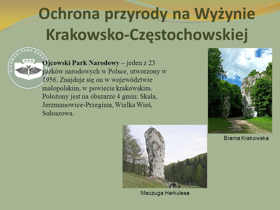 Ochrona przyrody na Wyżynie Krakowsko-Częstochowskiej