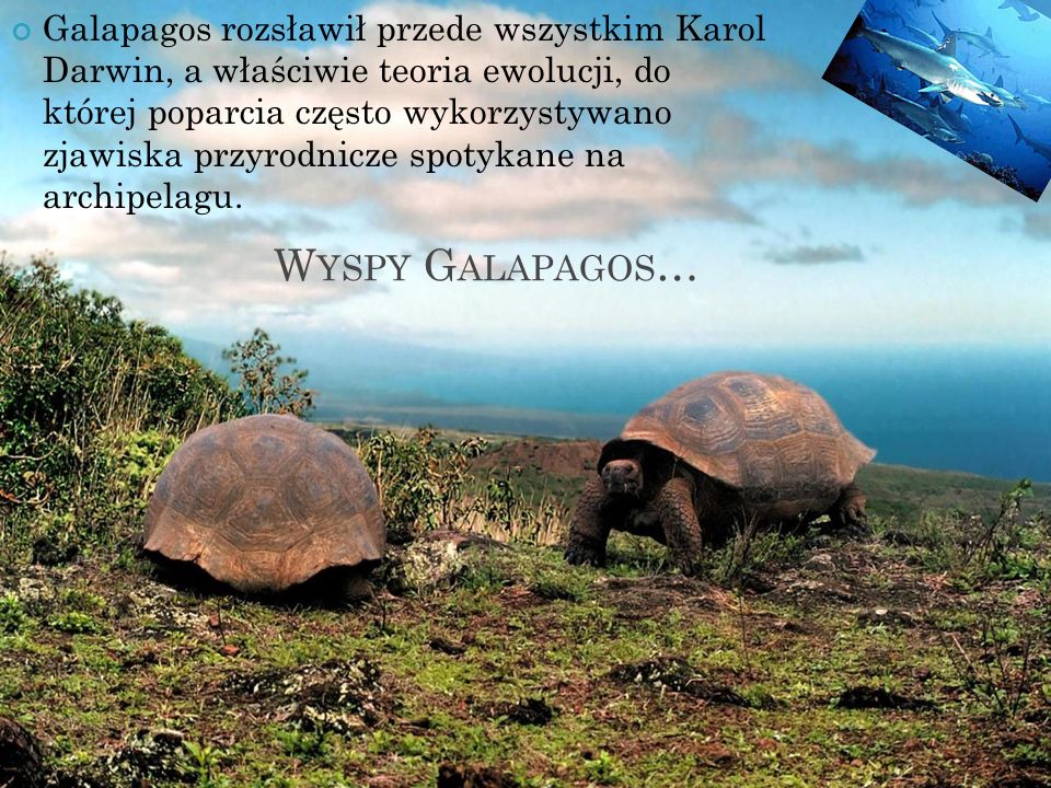 Galapagos rozsławił przede wszystkim Karol Darwin, a właściwie teoria ewolucji, do której poparcia często wykorzystywano zjawiska przyrodnicze spotykane na archipelagu.