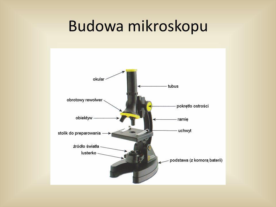 Budowa mikroskopu