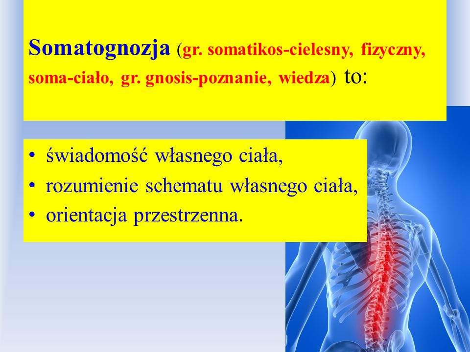 Somatognozja (gr. somatikos-cielesny, fizyczny, soma-ciało, gr