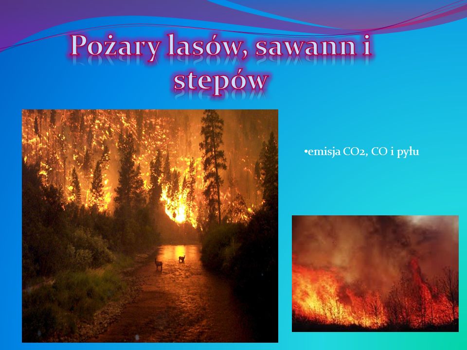Pożary lasów, sawann i stepów