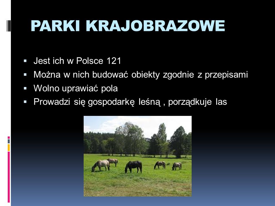 PARKI KRAJOBRAZOWE Jest ich w Polsce 121