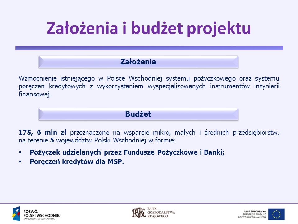Założenia i budżet projektu