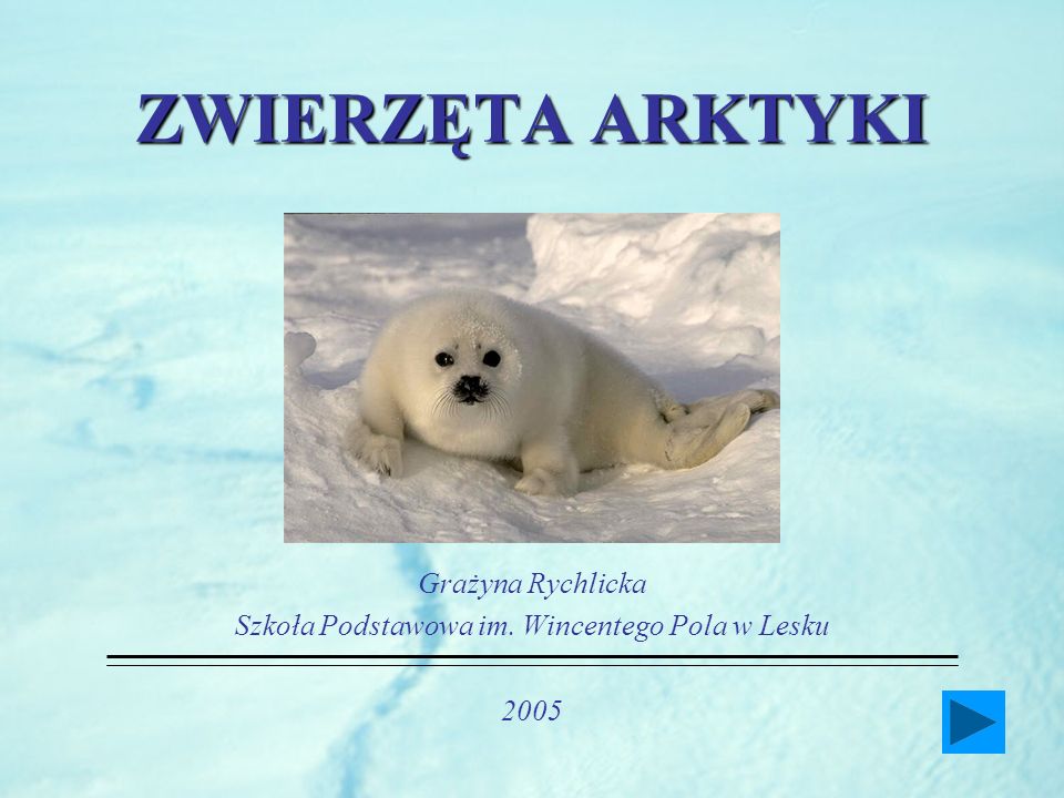 Grażyna Rychlicka Szkoła Podstawowa im. Wincentego Pola w Lesku 2005