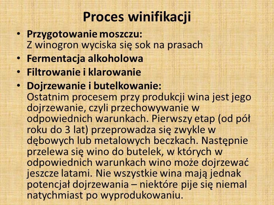Proces winifikacji Przygotowanie moszczu: Z winogron wyciska się sok na prasach. Fermentacja alkoholowa.