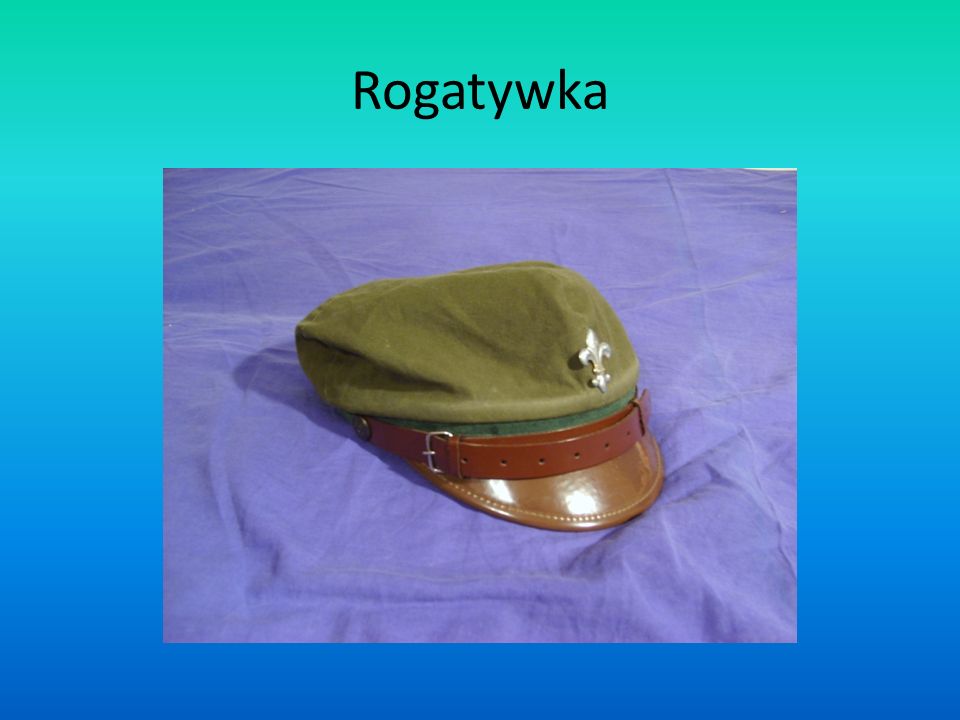 Rogatywka