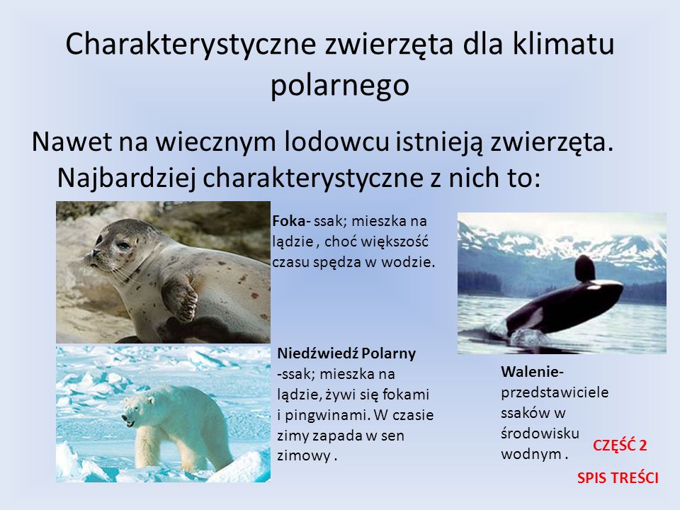 Charakterystyczne zwierzęta dla klimatu polarnego